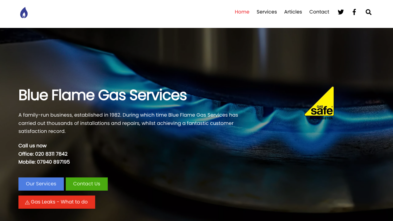 BLUE FLAMEZ GAS LTD website preview