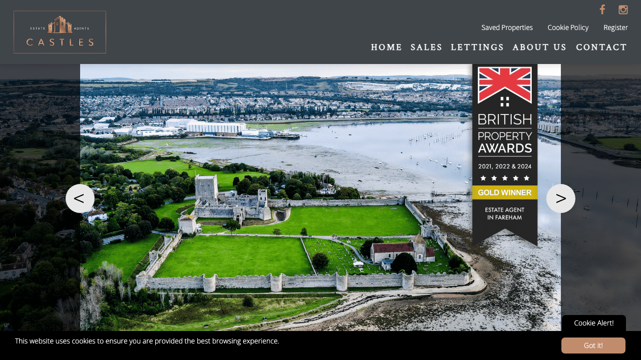 CASTLES ESTATE LIMITED website preview