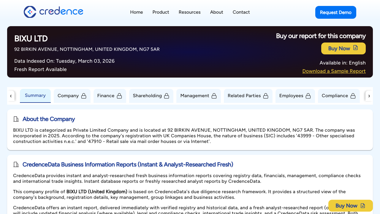BIXU LTD website preview