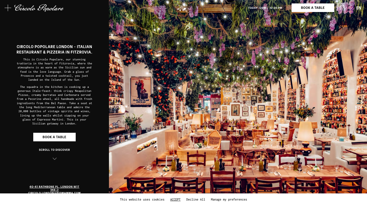 CARILOR LTD website preview