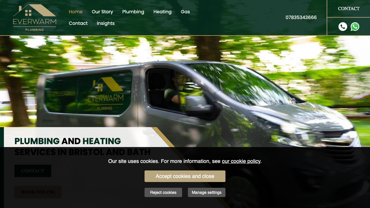EVERWARM PLUMBING LTD website preview