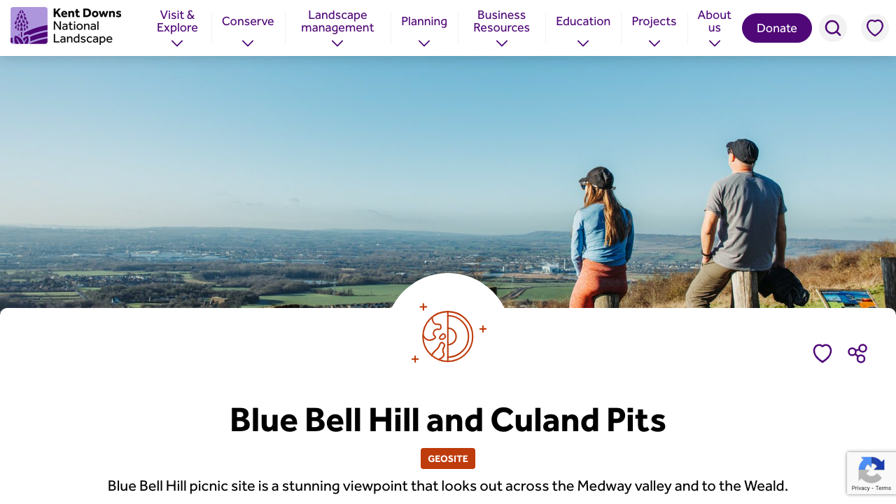 BLUE HILL (KENT) LTD website preview