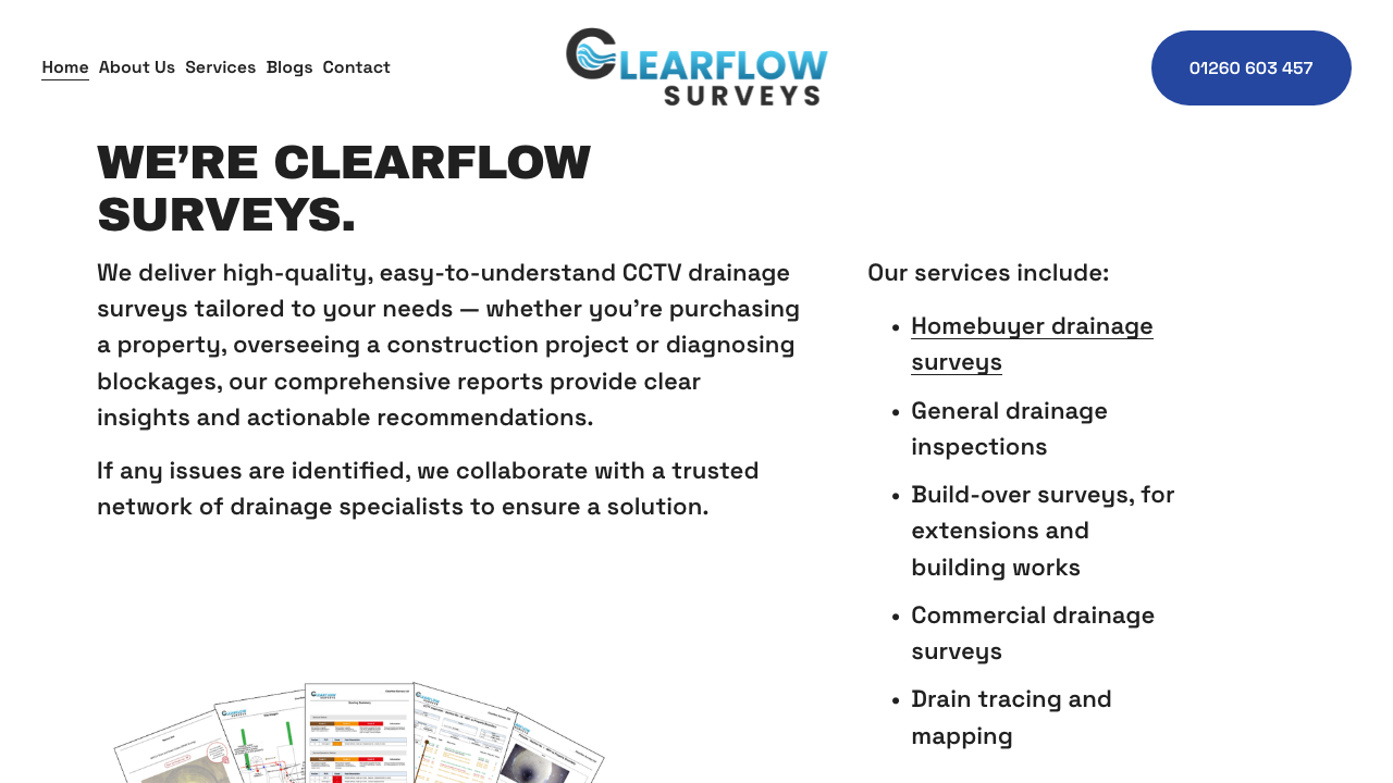 CLEARFLOW SYSTEMS LTD website preview