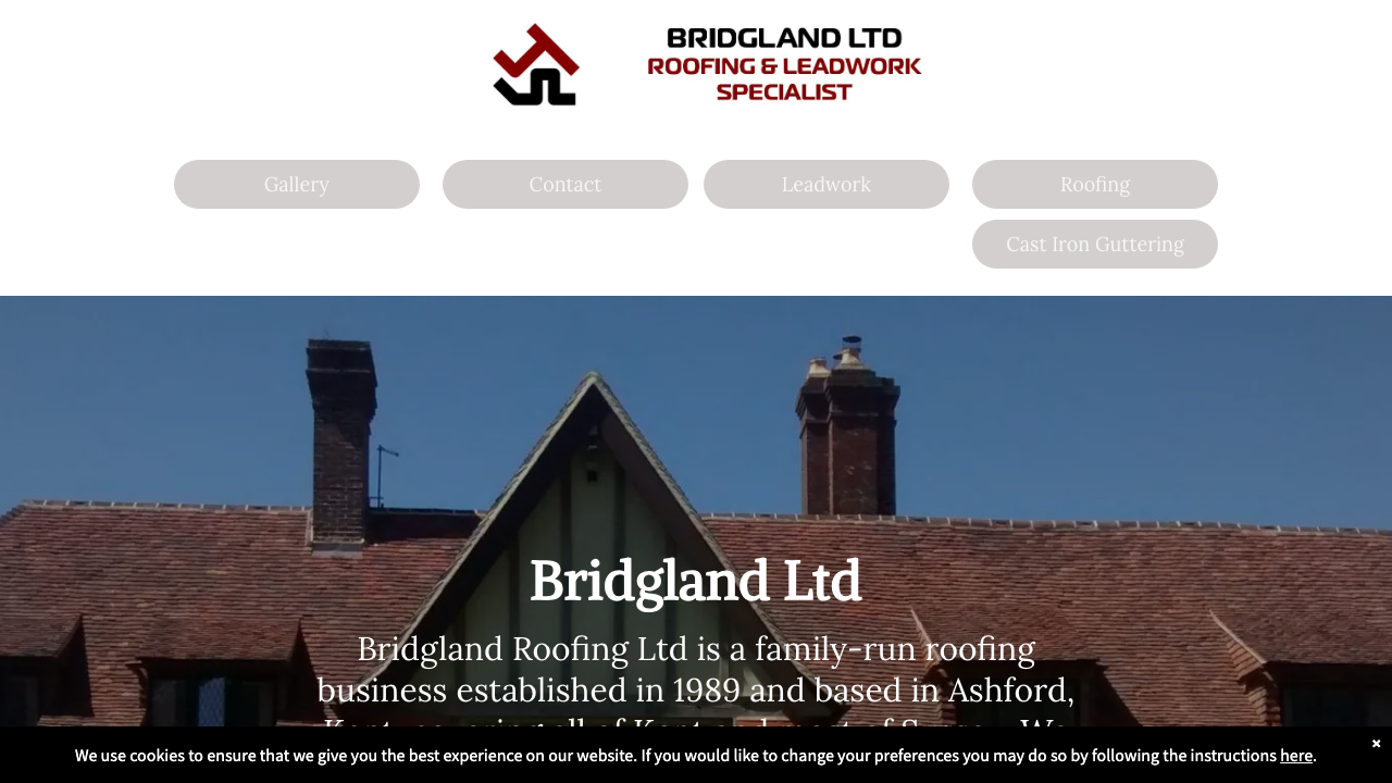 BRIDGLAND LIMITED website preview