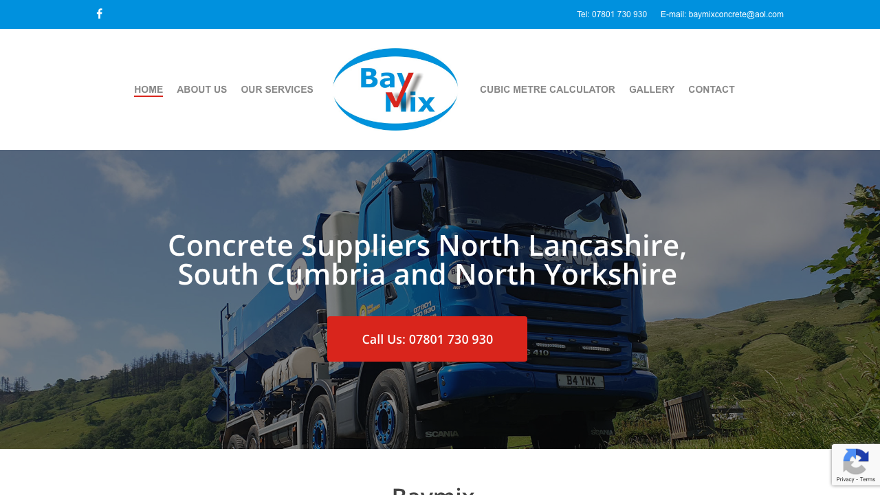 BAYMIX LIMITED website preview