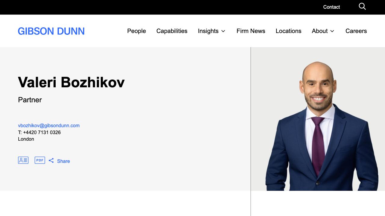 BOZHIKOV LTD website preview