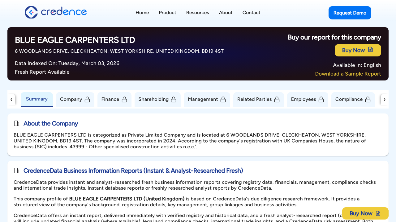 BLUE EAGLE CARPENTERS LTD website preview