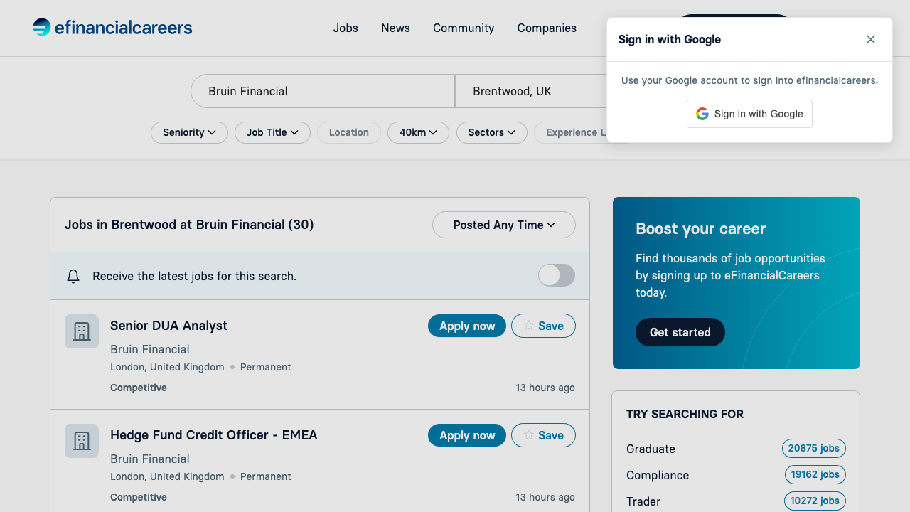 BRUIN & CO LIMITED website preview