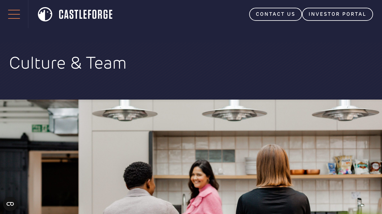 CASTLEFORGE DECOR & REFURBISHMENT LTD website preview