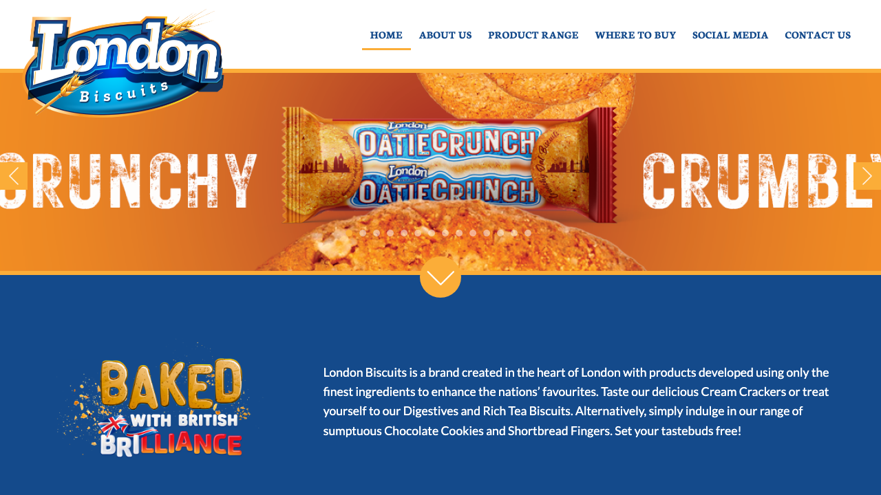 BISTIC LTD website preview