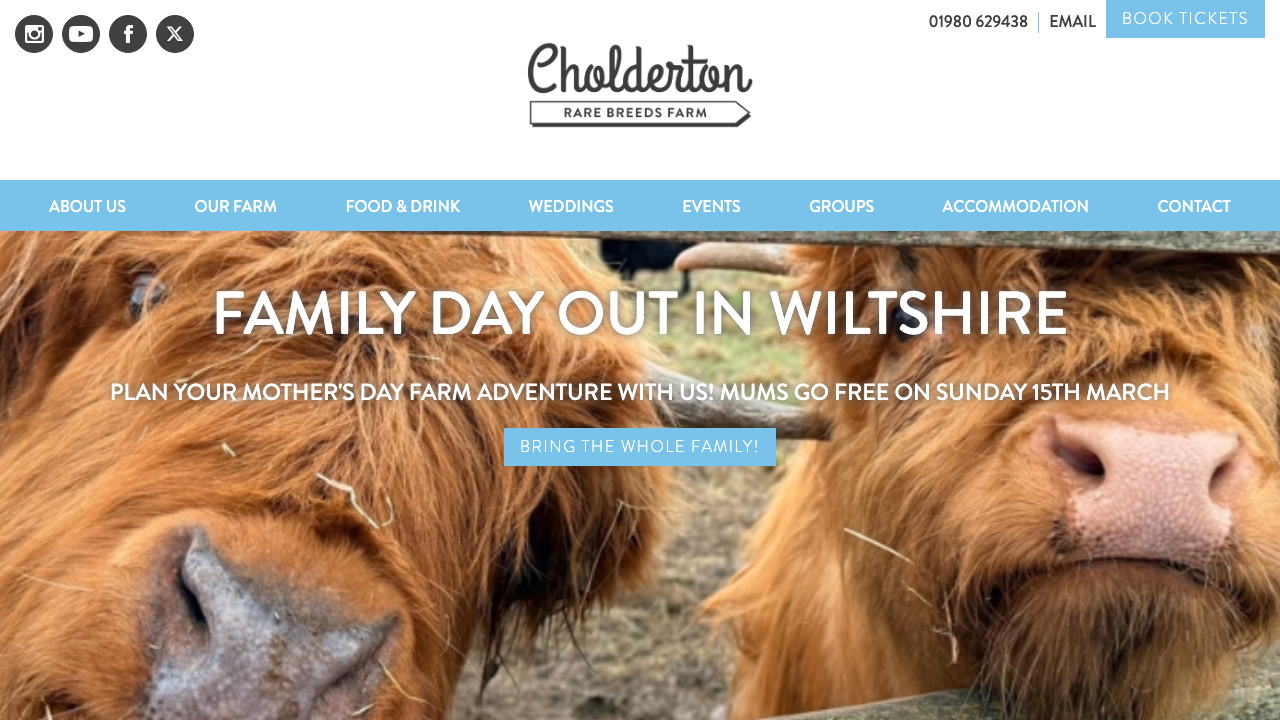 CHOLDERTON SPORTING SERVICES LTD website preview