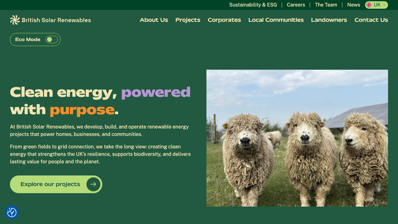 BSR EPC LIMITED website preview