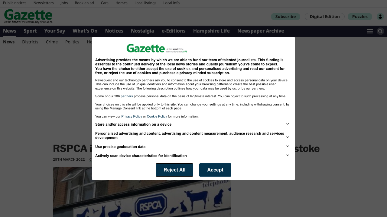 CAT FIRE LTD website preview