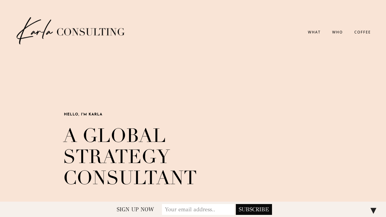 CARLA CONSULTING LTD website preview