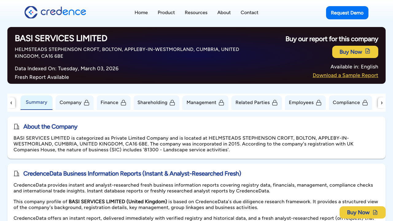 BASI SERVICES LIMITED website preview