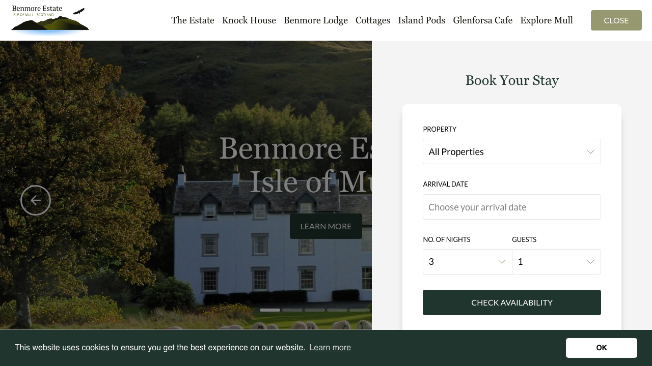 BENMORE ESTATE LIMITED website preview