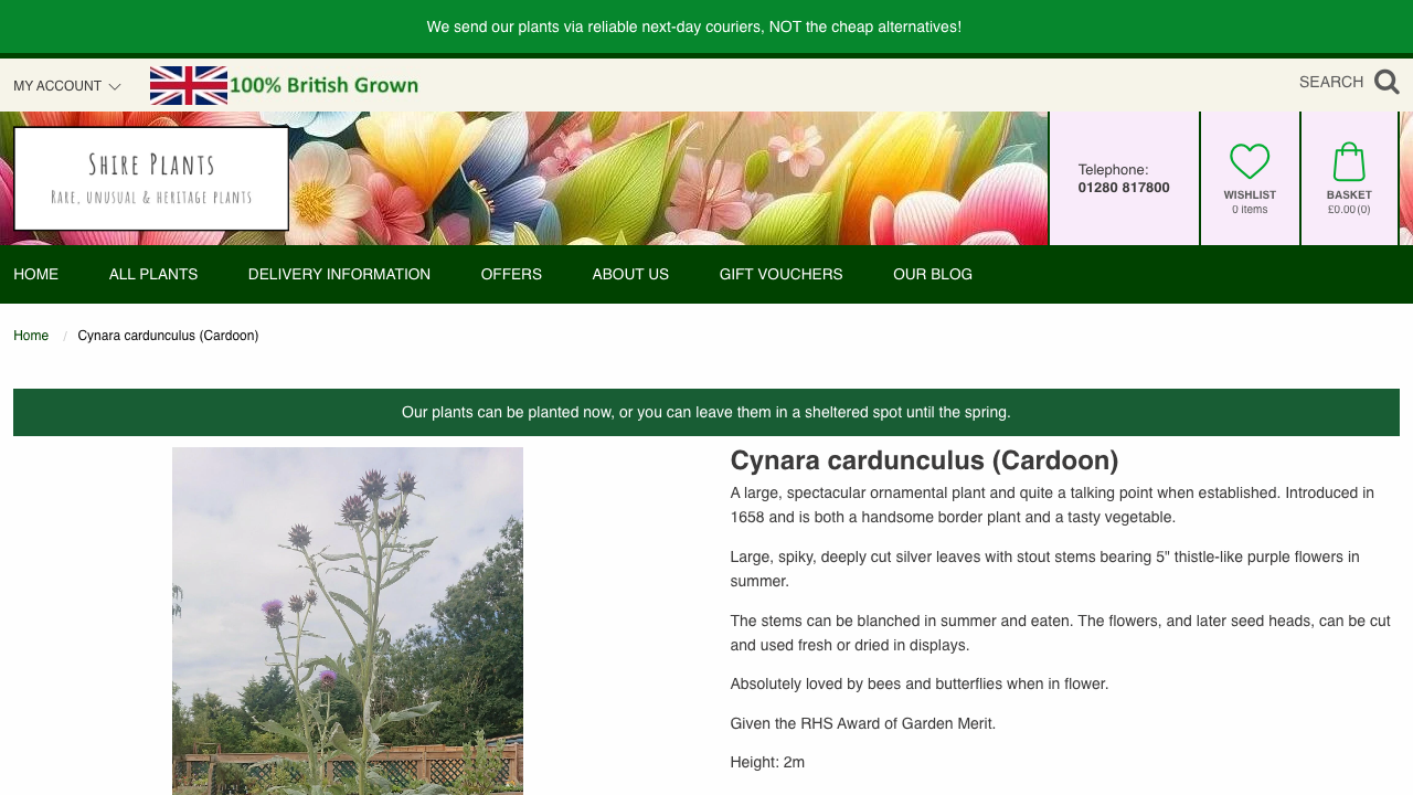 CARDUN LIMITED website preview