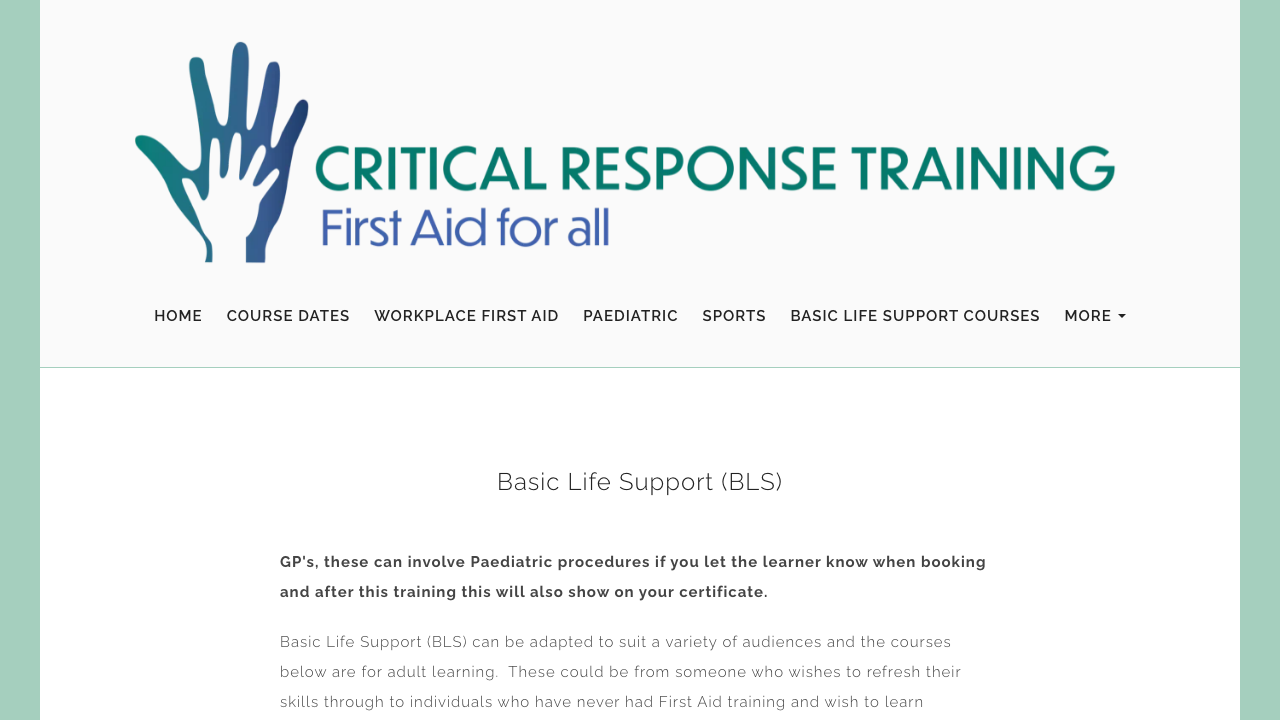 BLS LIMITED website preview