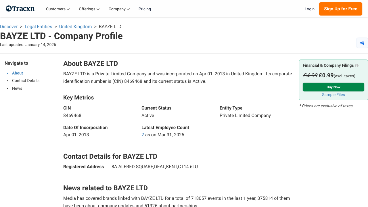 BAYZE LTD website preview