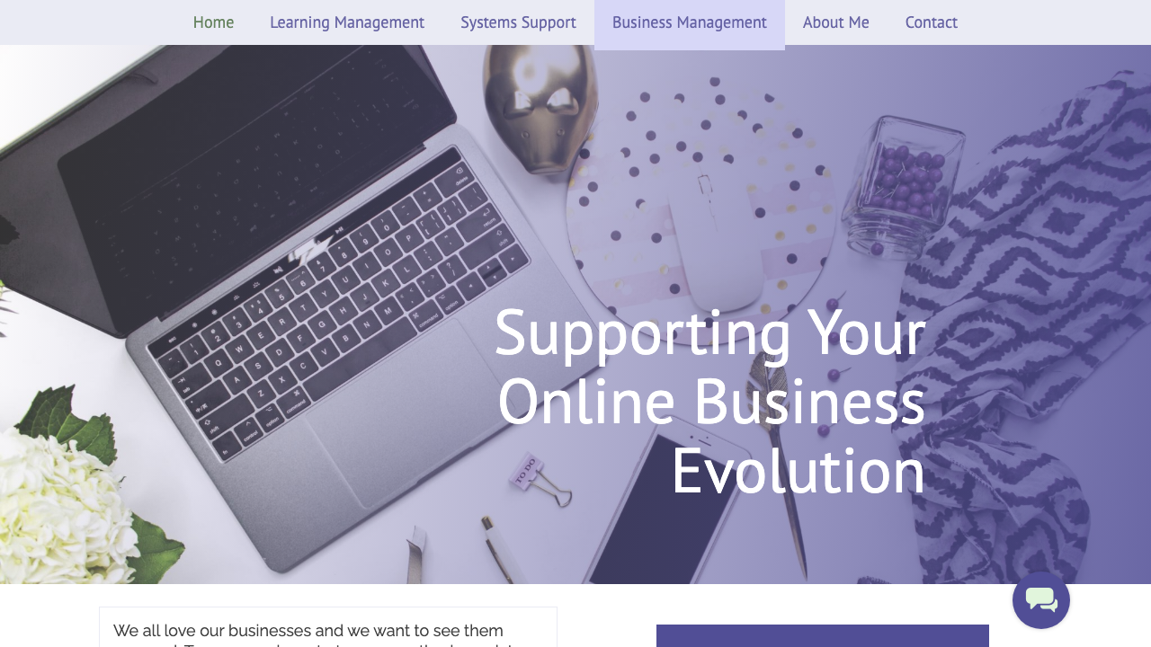 BLU BELL SERVICES LTD website preview