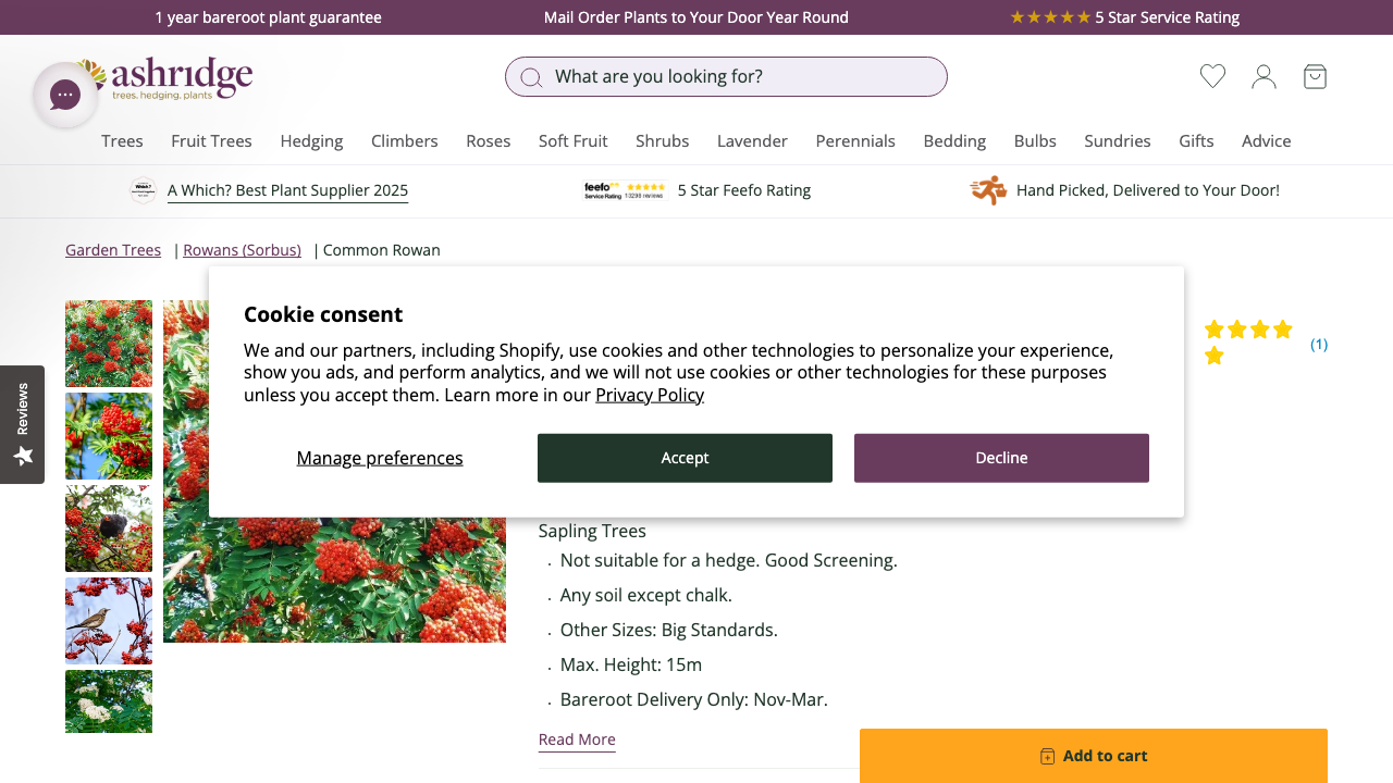 CLEARLINE(UK) LTD website preview