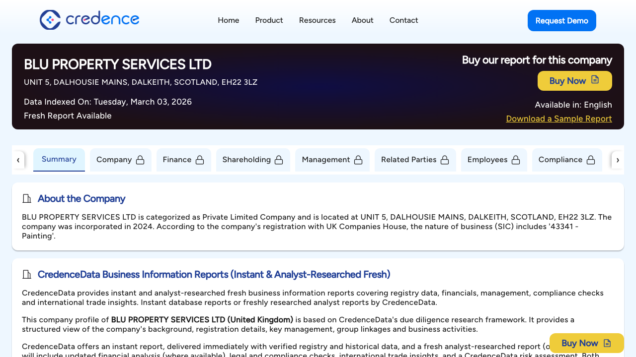 BLU PROPERTY SERVICES LTD website preview