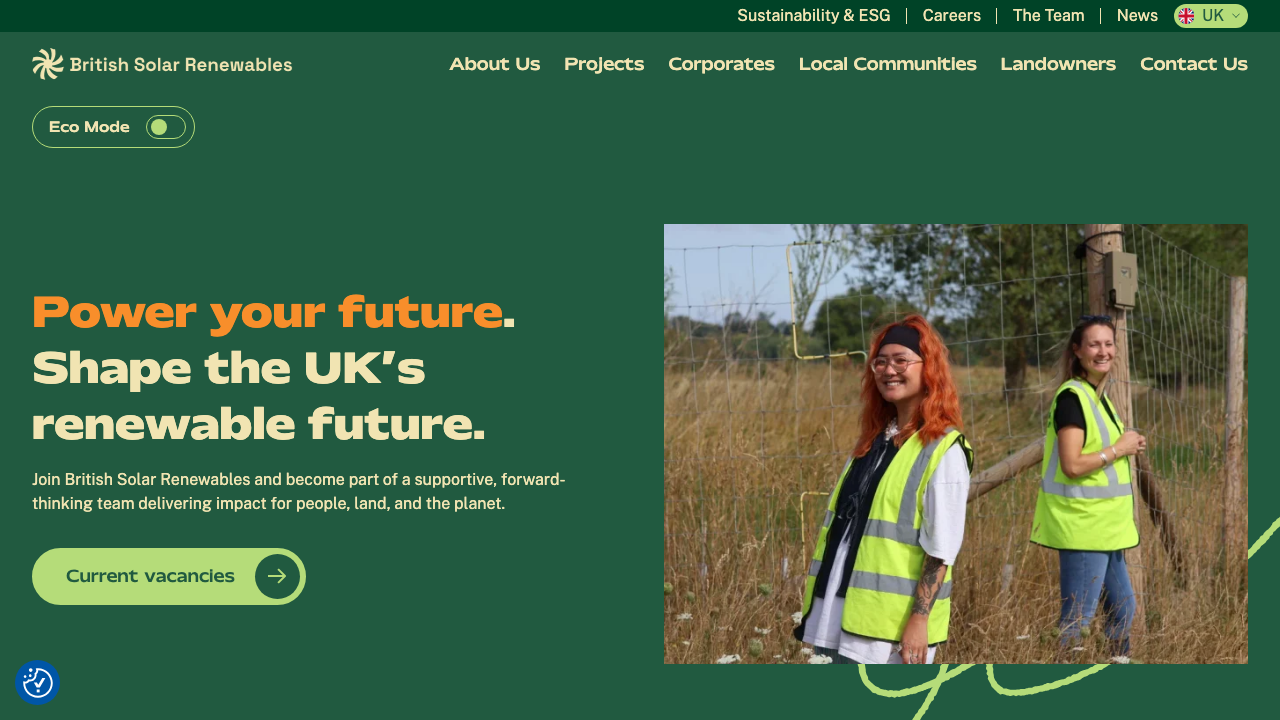 BSR APPLICATIONS LIMITED website preview