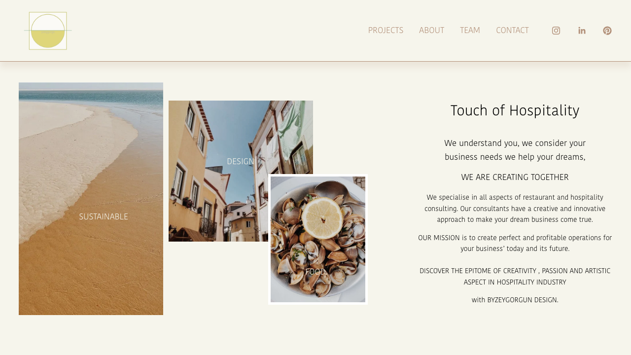 BYZEYGORGUN DESIGN LTD website preview