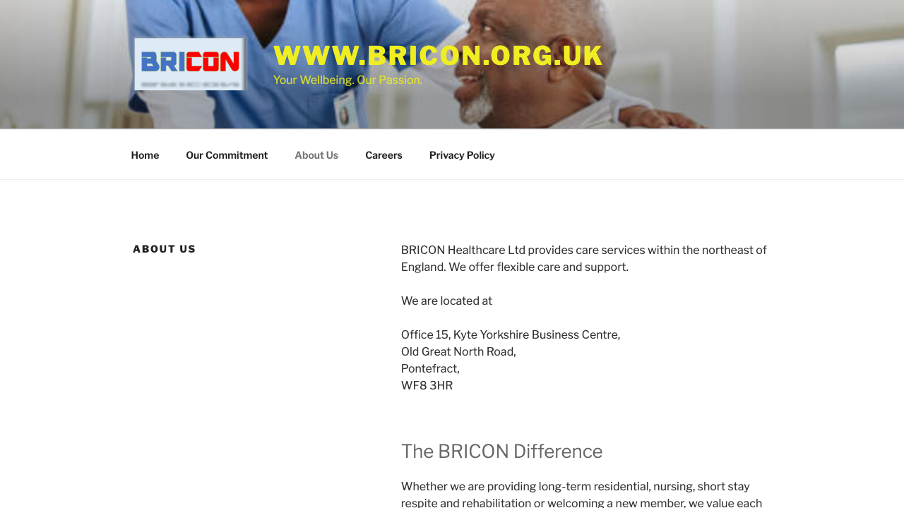 BRICON LIMITED website preview