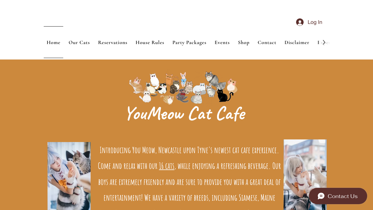 BY MEOW LTD website preview