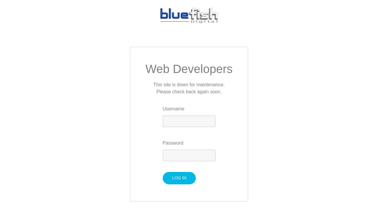 BLUEFISH DIGITAL SERVICES LIMITED website preview