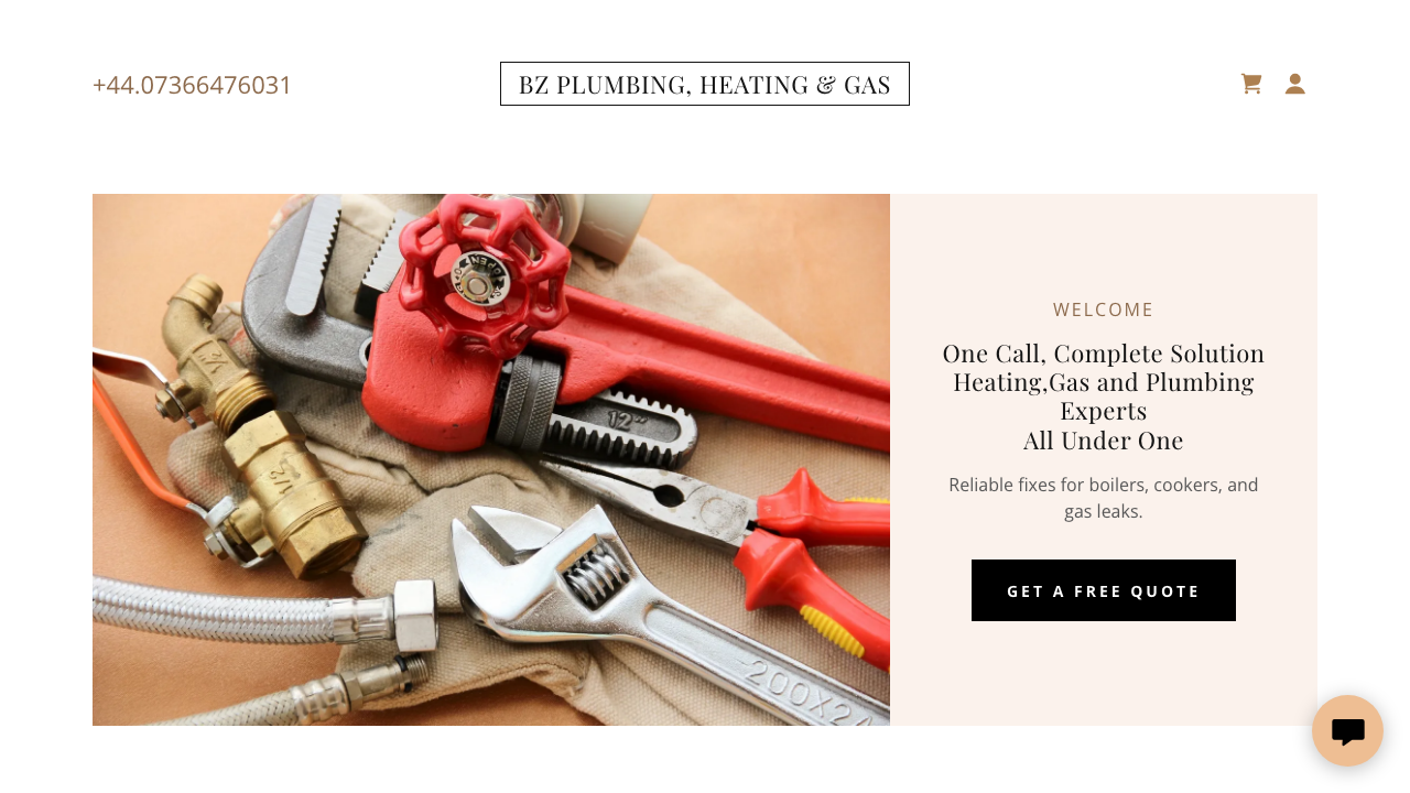 BZ PLUMBING HEATING & GAS LTD website preview