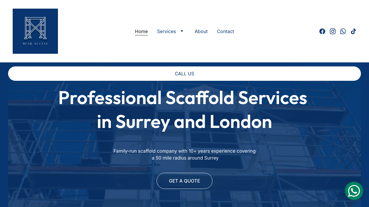 BEAR ACCESS LTD website preview