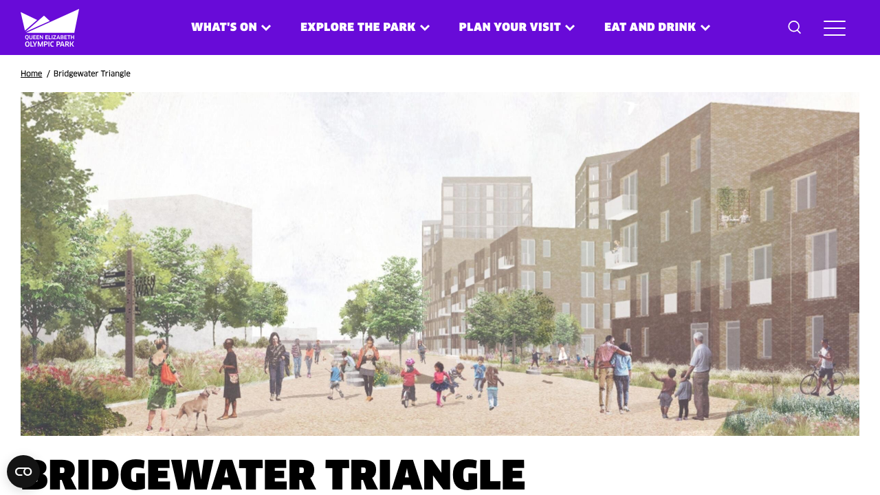 BRIDGWATER GREEN LIMITED website preview