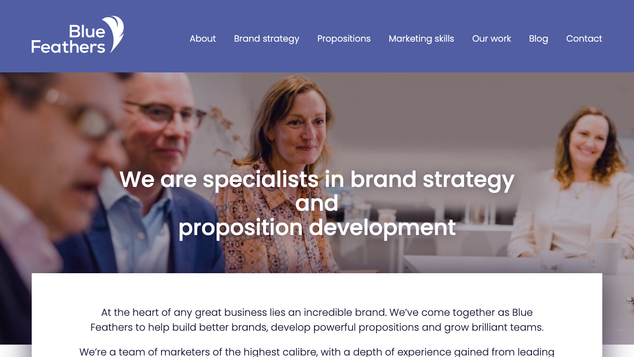 BLUE FEATHERS WAY LTD website preview