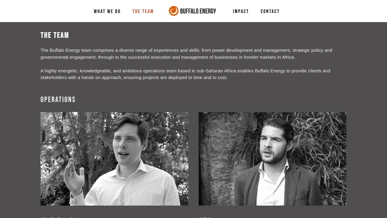 BUFFALO ENERGY LIMITED website preview