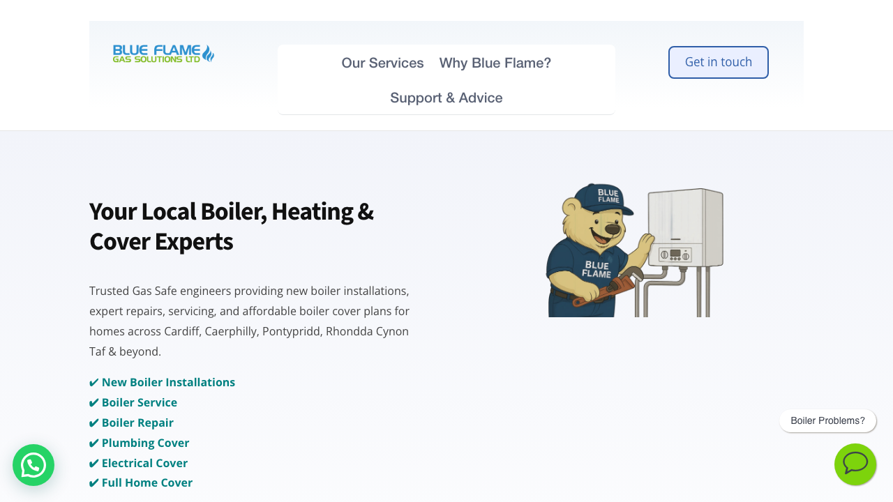 BLUE FLAME GAS SOLUTIONS LIMITED website preview