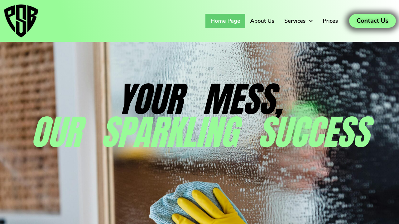 BRIGHT & SHINE SERVICES LTD website preview