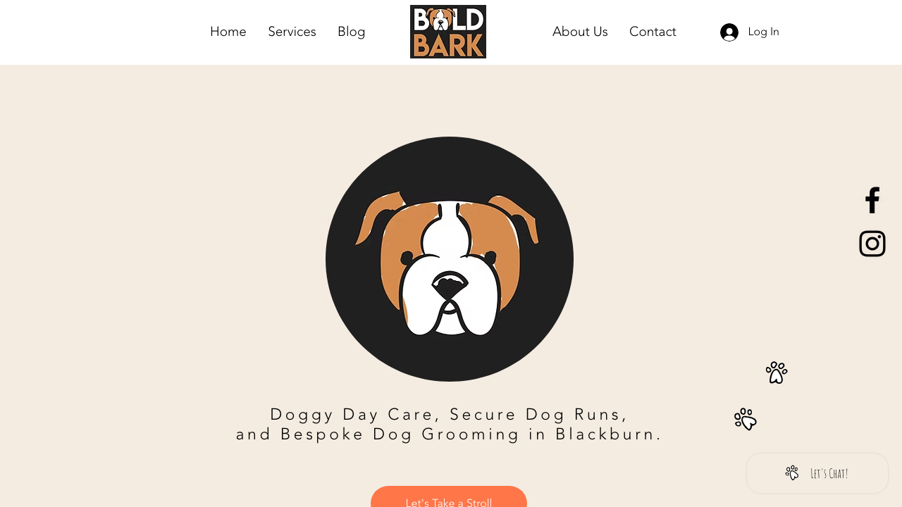BOLD START LTD website preview