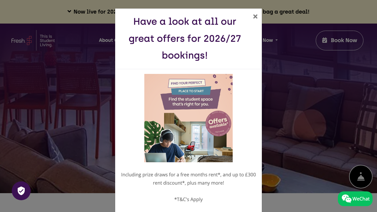 CALICO STUDIOS LTD website preview