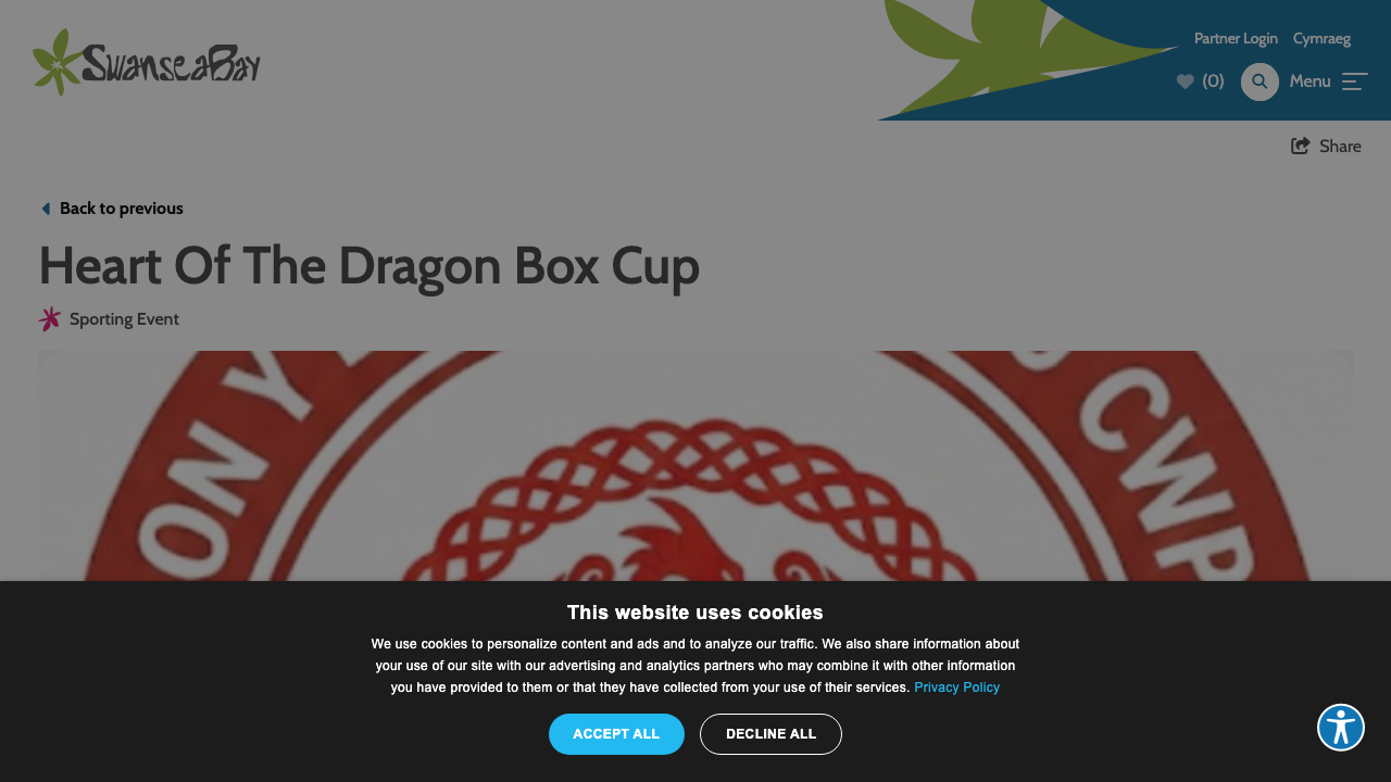 BOK & DRAGON LTD website preview