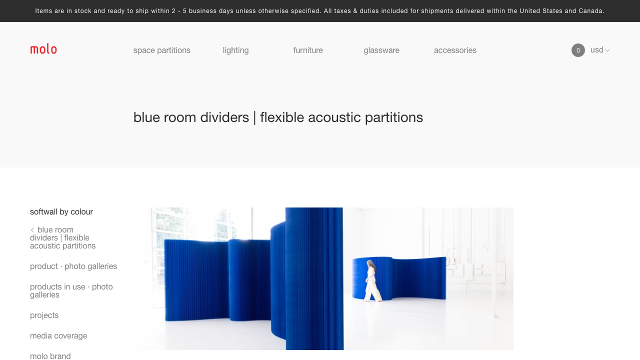 BLUE PARTITION LTD website preview