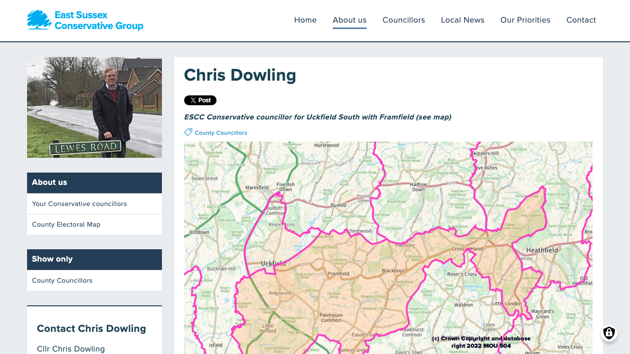 CHRIS DOWLING LIMITED website preview