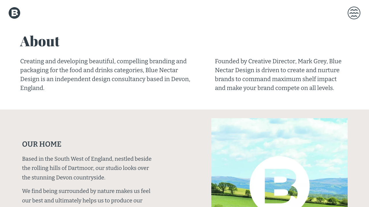BLUE NECTAR LIMITED website preview