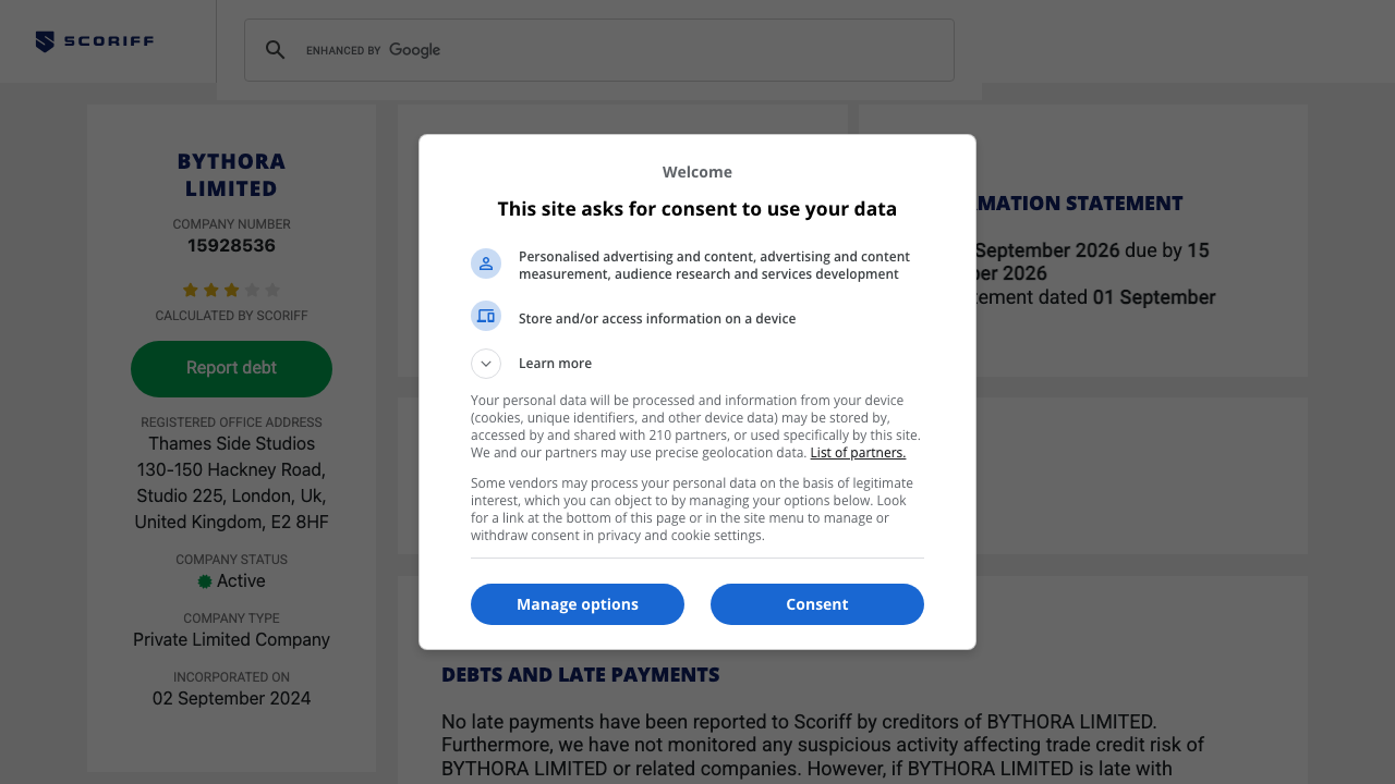 BYTHORA LIMITED website preview