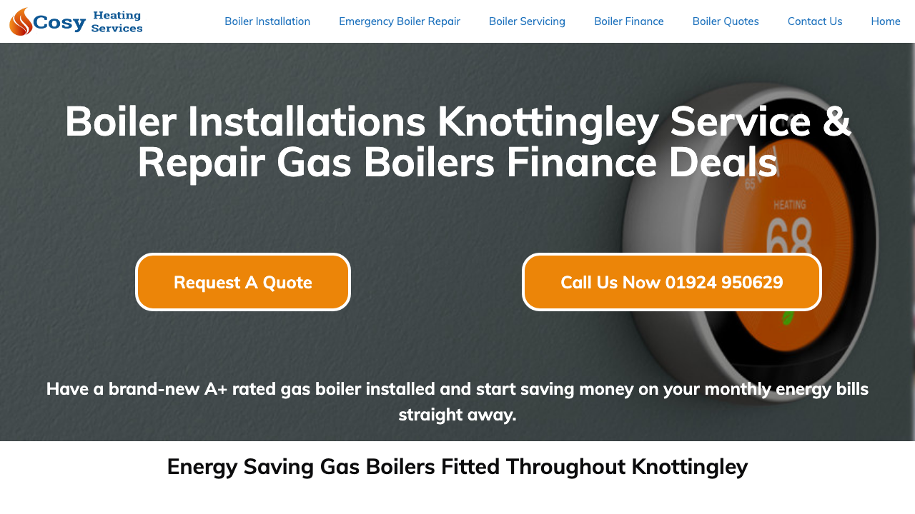 BLUE FLAME HEATING AND PLUMBING LTD website preview