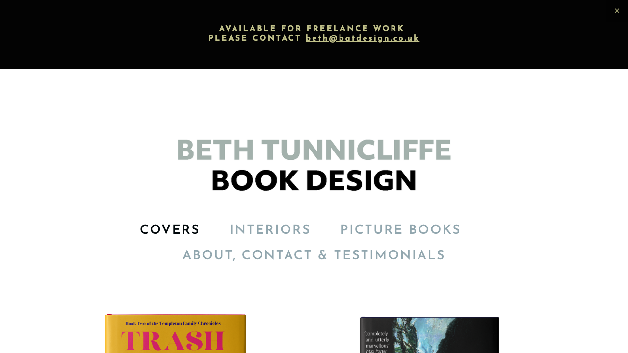 BAT DESIGN LTD website preview