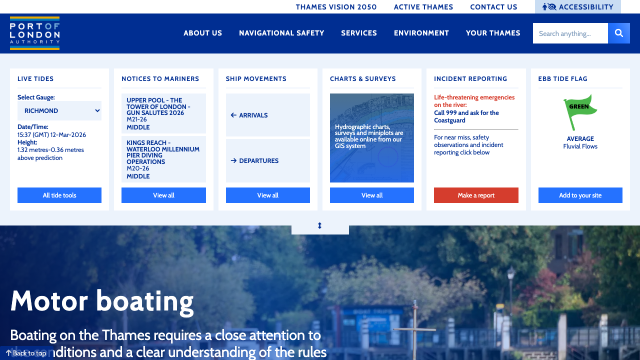 BRIDGES & SONS GAS LTD website preview