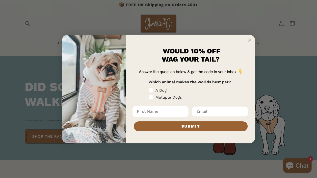 CHARLIE & CO. PET STORE LTD website preview