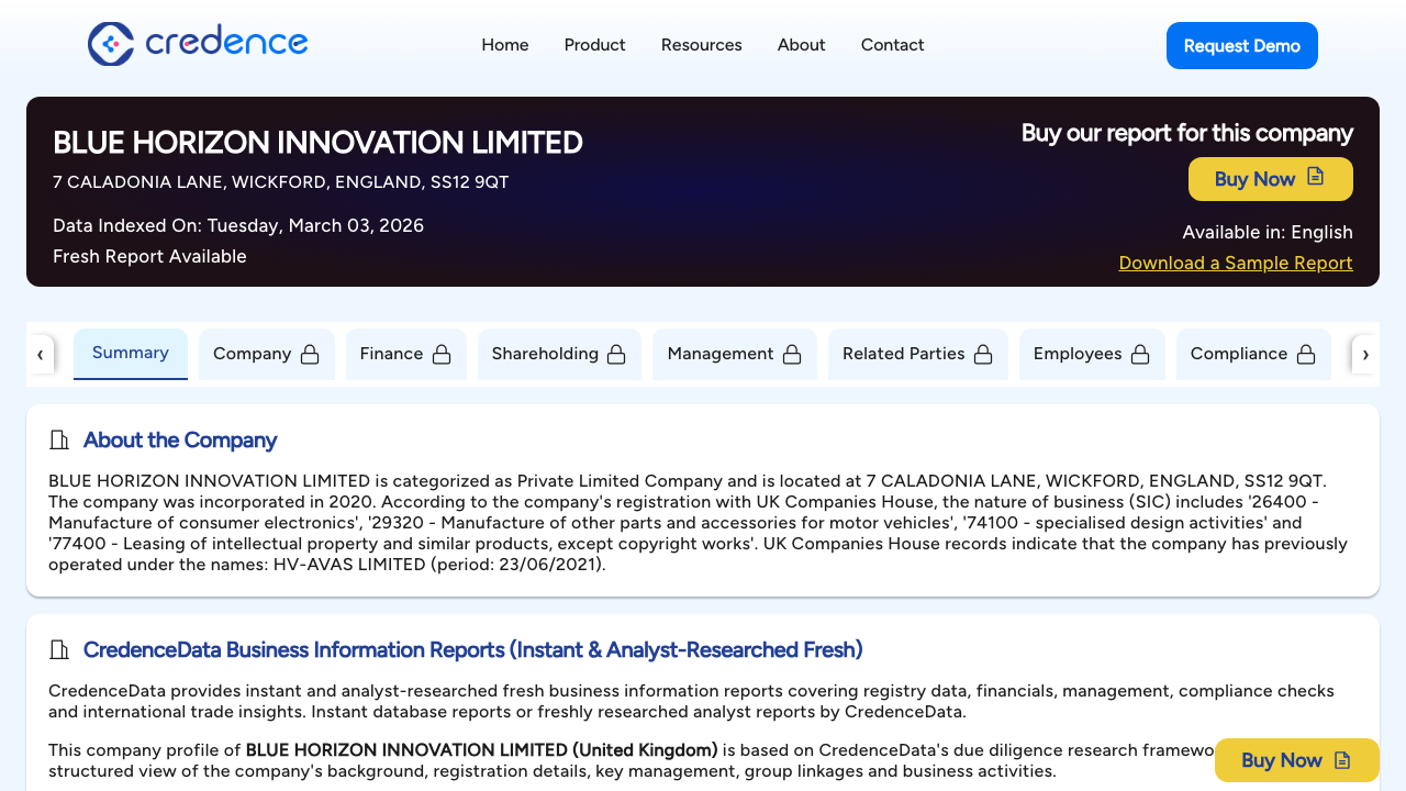 BLUE HORIZON INNOVATION LIMITED website preview